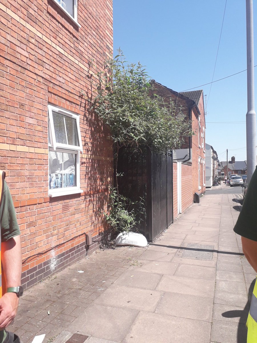 Joint Estate visit at Brambling Road with  Sharpes discussing and addressing landscaping matters with Residents.
<a href="/Hayleyemh/">Hayley Perkins</a> 
#sharpes 
#greatestates
@emhhomes