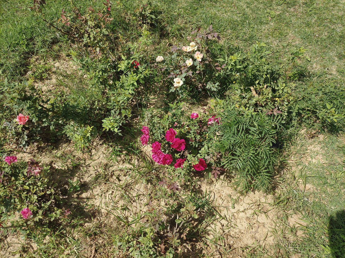 NidsDen's tweet image. surrounded by loved ones is priceless 
#midweekthoughts