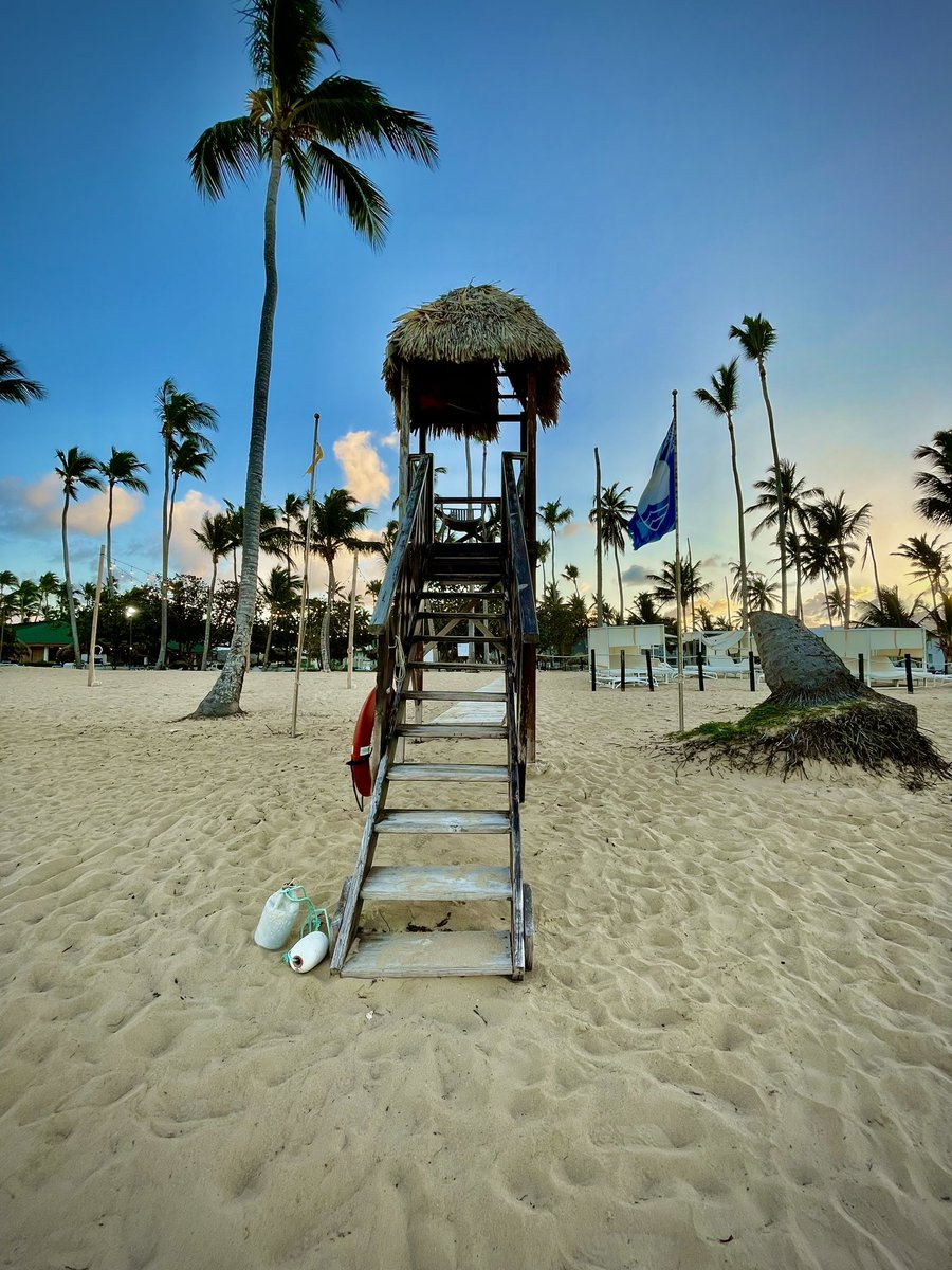 JCPhotos94's tweet photo. Lifeguard tower #photo #beach #likes #palmtrees #newpost https://t.co/lqyTR6CXLc
