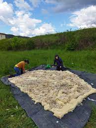 Vida_Verda's tweet photo. I demà Dijous 14h a @Vida_Verda @radio4_rne reclamem #Tornaralallana perque #Tornenlesesquelles amb Laia Aguilà @SidillaEdicions Martina Manya + Ana Vivero @EinaBcn I també Contaminació Sonora al mar @EloisaMatheu i el No al Hard Rock @JosepRoquetes https://t.co/fIWQIcD937