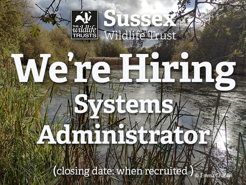 We are seeking a permanent part-time System Administrator to join our in-house IT department based at Woods Mill #SussexJobs

sussexwildlifetrust.org.uk/get-involved/j…