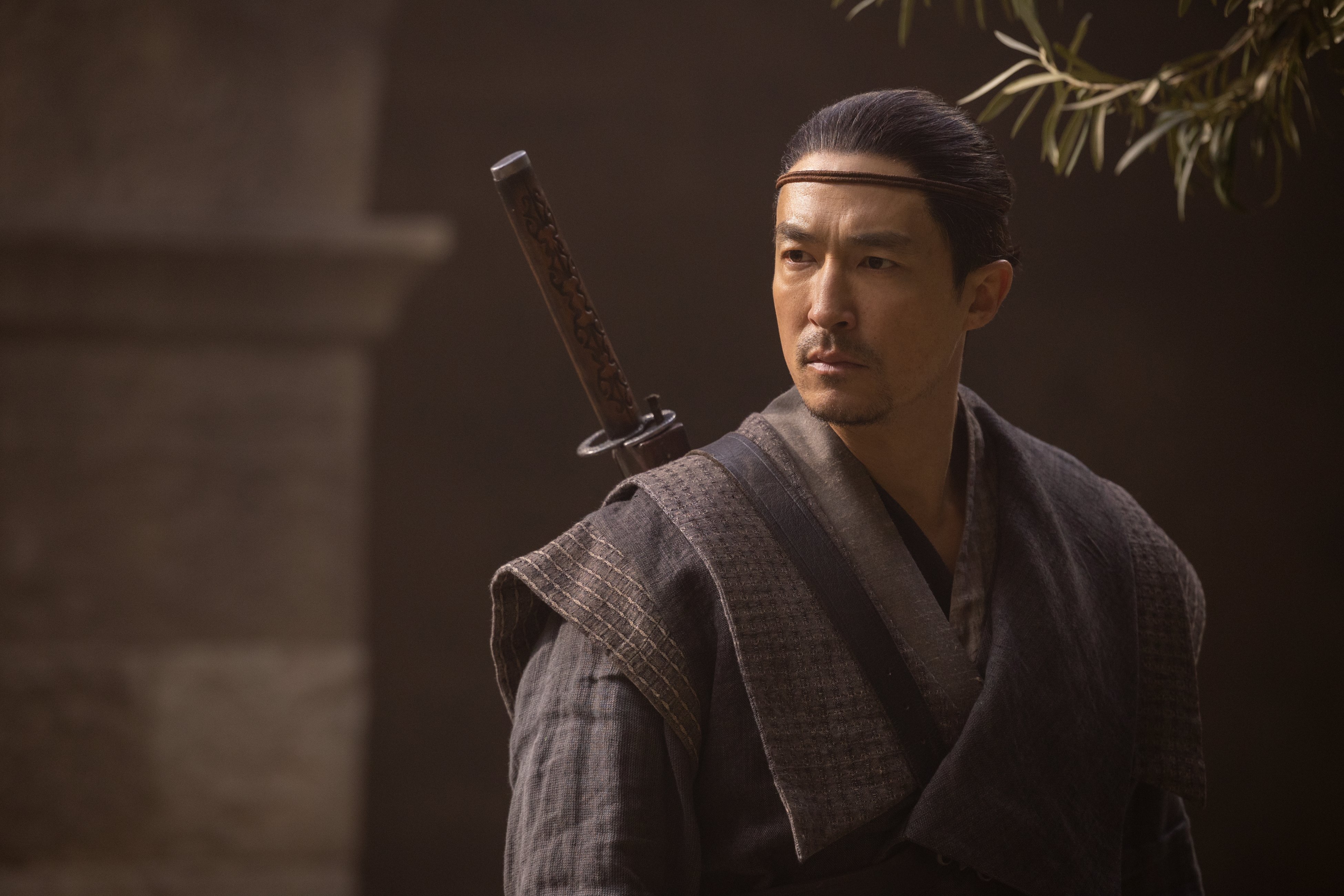 Medium close-up of Lan in his traditional gray long-sleeve coat and thin leather headband, with his sword sheathed on his back. He stands in front of a nondescript building with branches of a lush tree behind his left shoulder.