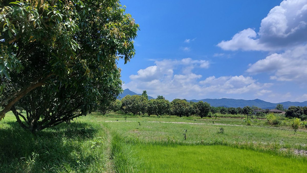 DhakalSaurav's tweet photo. सिन्धुली दुधाैली धन्सार चुरे बाट हजुर आँप । #Nepal #MangoSeason https://t.co/KKMStnAaly