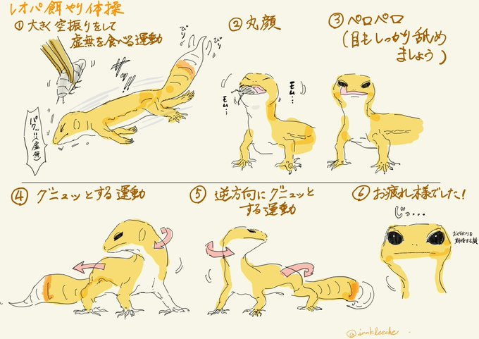 ヒョウモントカゲモドキ餌やり体操