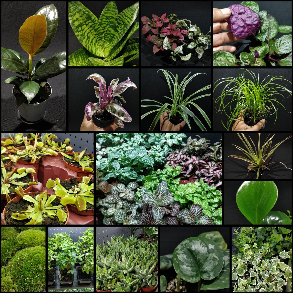 New Arrivals!
Shop now on our website, dheli.art, or visit our shop.
Location: maps.app.goo.gl/NLGrdCavnvMeH1…