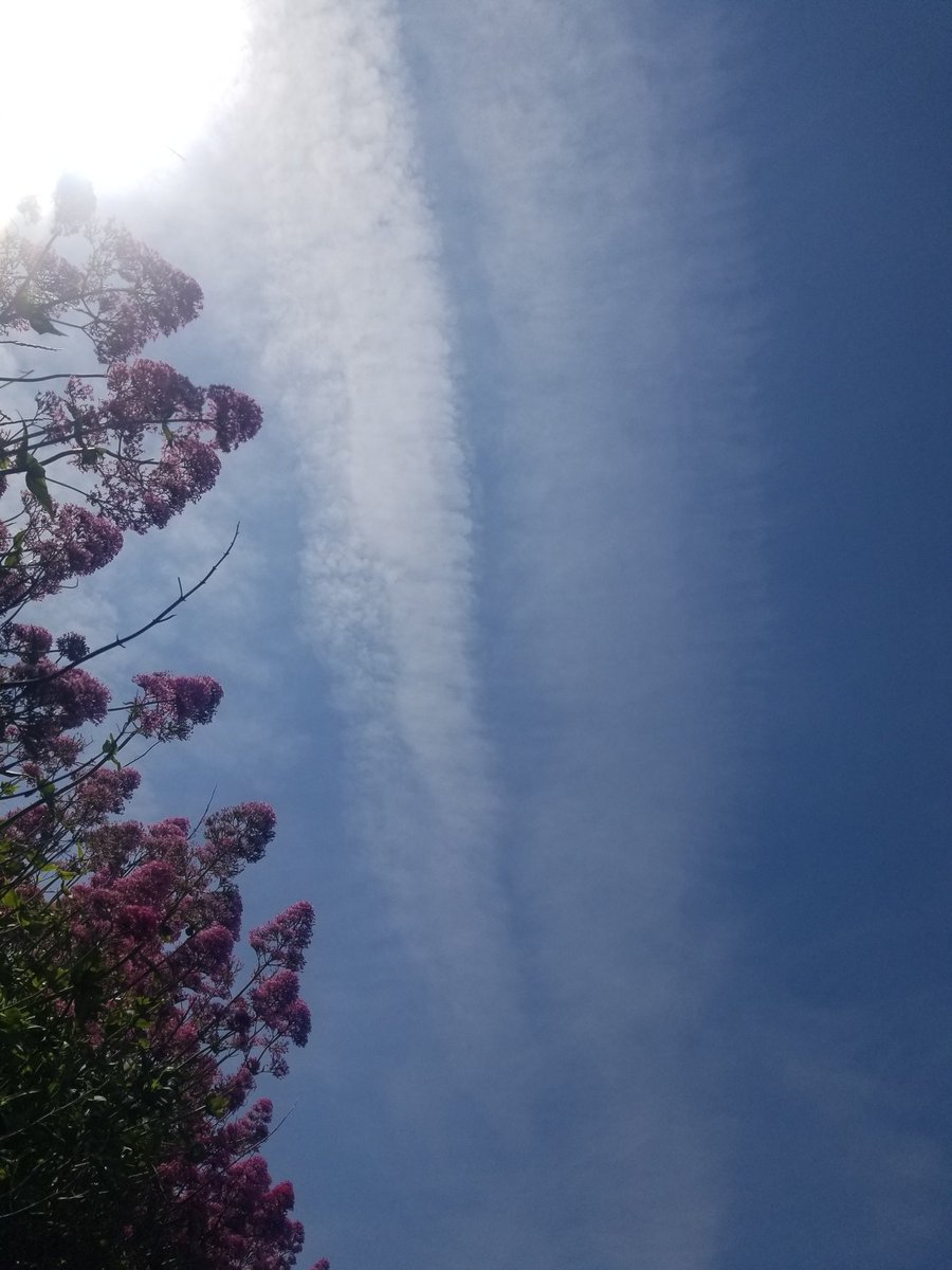 Few lines appearing in the sky today in #northdevon actually hotter than yesterday so not normal. #GeoEngineering #chemtrails #ClimateScam #WEF2030Agenda