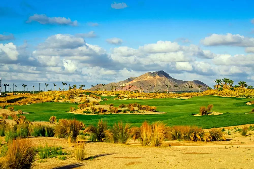 Collegiate Golf Tour tweet media