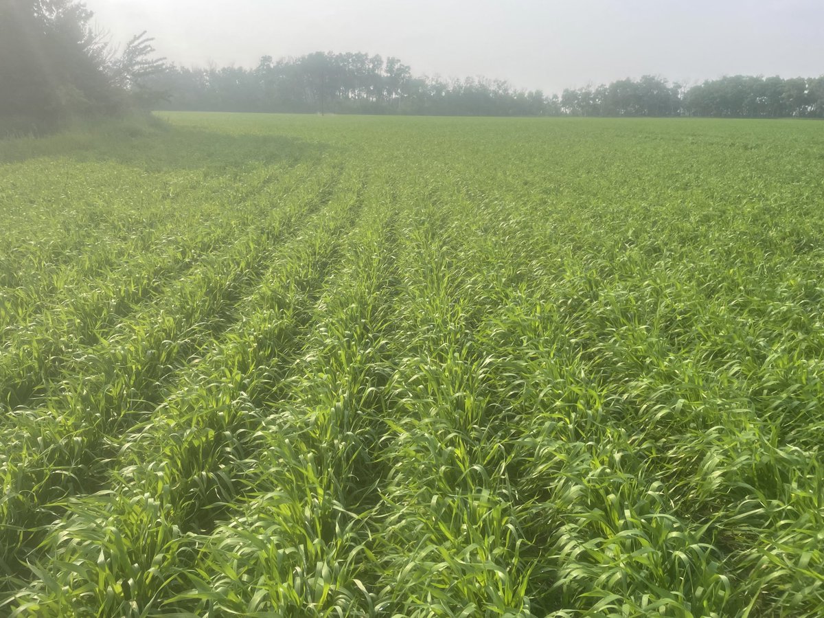 Larry Hilworth tweet media