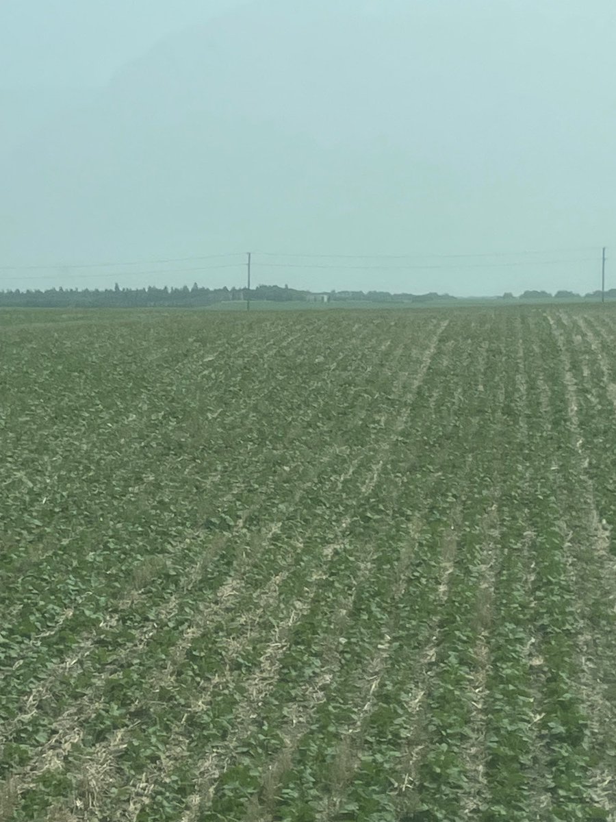 Larry Hilworth tweet media