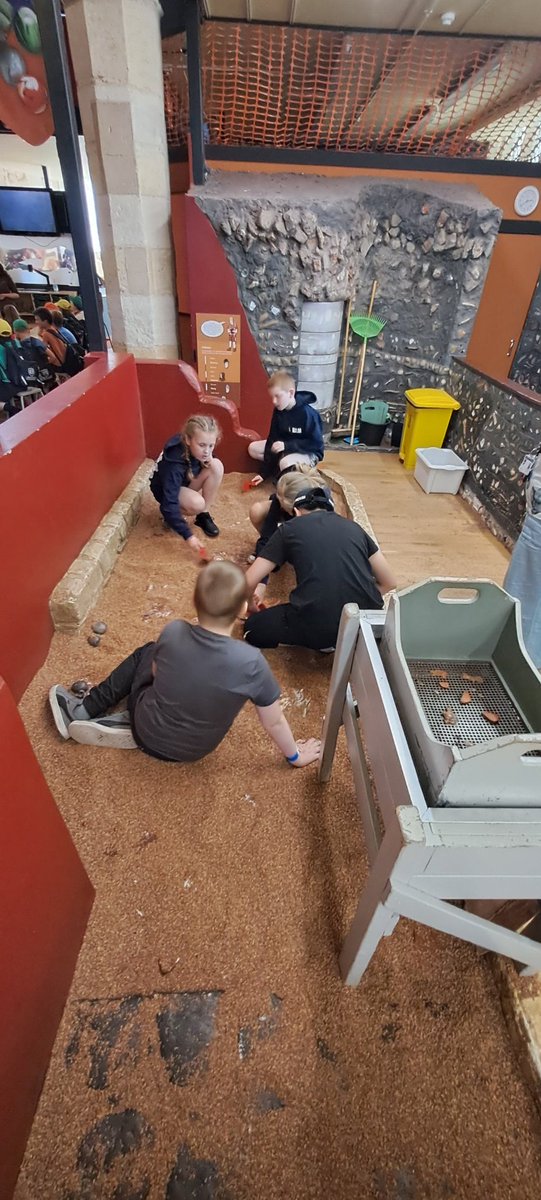 WLMPrimary's tweet photo. The great Westleigh archeological Dig! Busy busy bees in York. #possibilities #allwecan https://t.co/LjDyLtx3cN