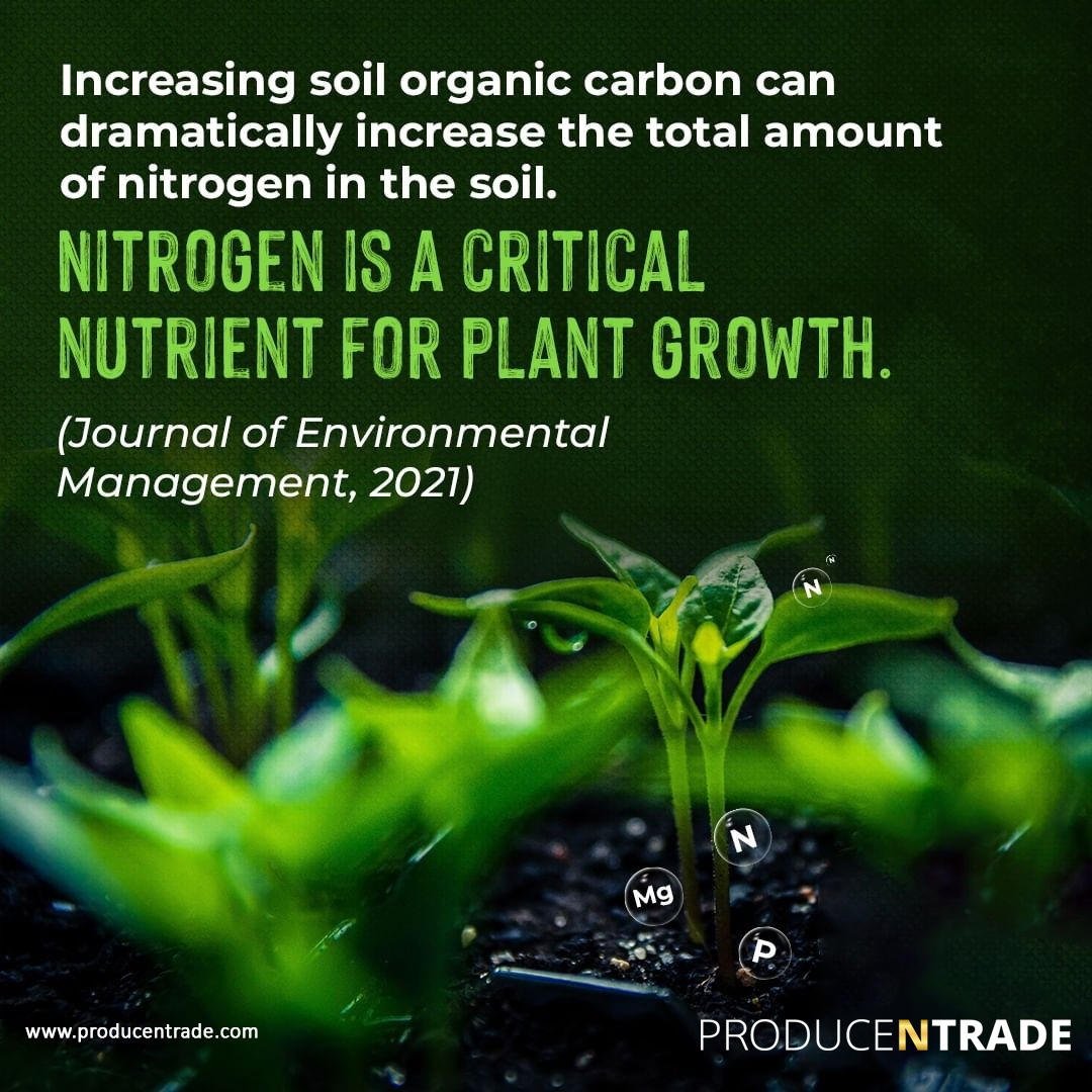 #Nitrogen is a critical #nutrient for #plant growth.
#agriculture #farming #farm #farmer #farmlife #tractor #johndeere #fendt #agro #nature #agricultura #agriculturelife #farmers #landwirtschaft #agri #newholland #harvest #organic #global #photography #food #claas #caseih