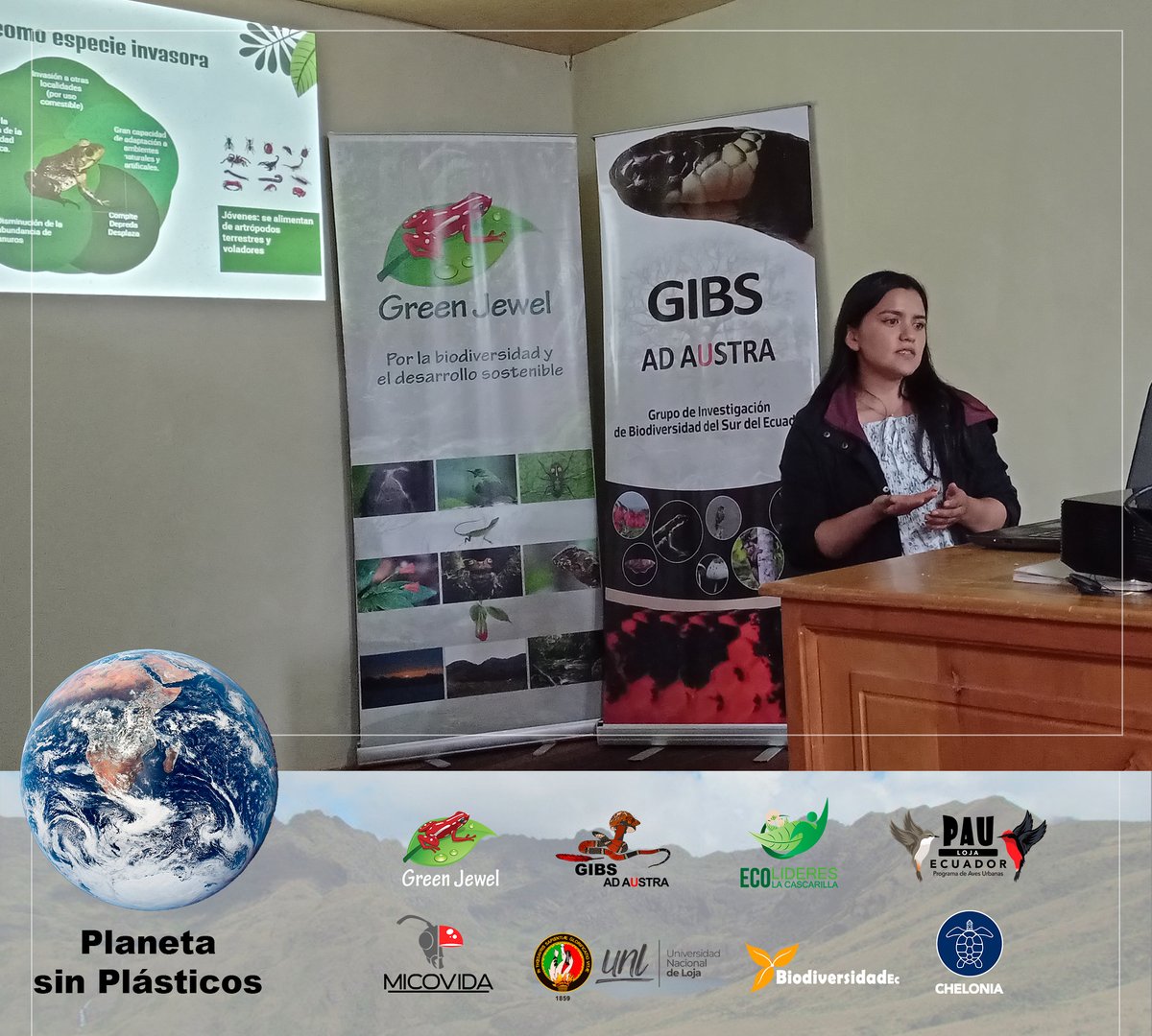 GrupoGreenJewel's tweet photo. MES DEL AMBIENTE
Ciclo de Conferencias "Planeta sin Plásticos"
#JorgeLoarte y #SaraChávez de #EcolíderesLaCascarilla compartiendo la charla: Introducción de la rana toro en Loja.
Evento organizado por #GreenJewel #UNL #EcolíderesLaCascarilla #MICOVIDA #GIBS #PAULoja #Chelonia https://t.co/rJ4cixLDCB