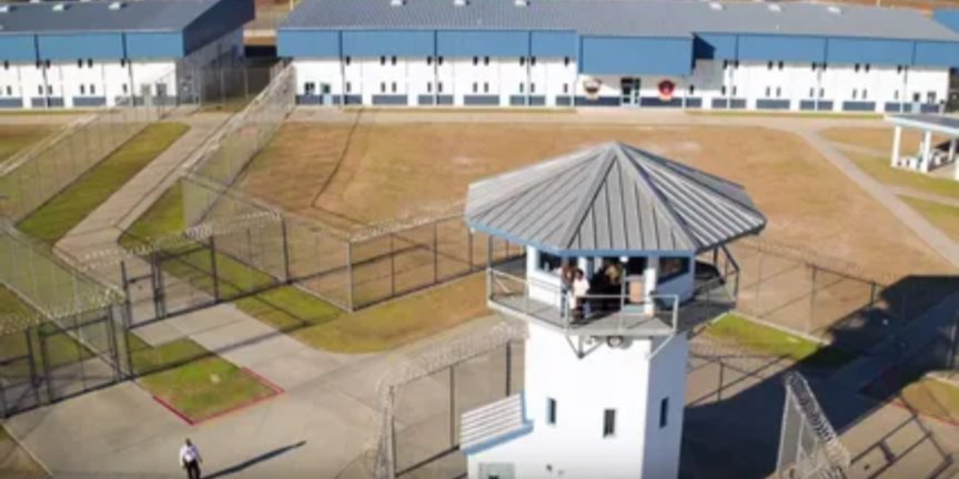 Walpurga Müller-Schm tweet media