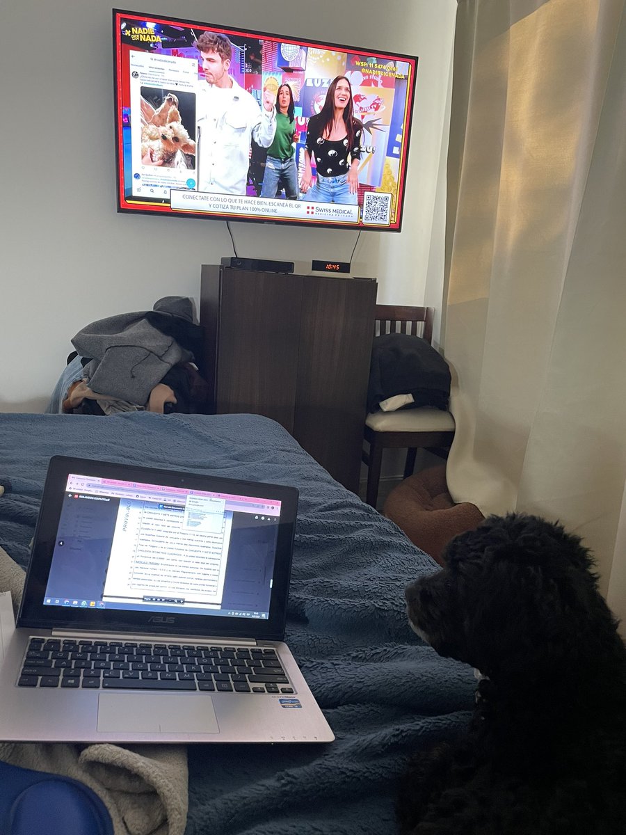 SofiiaMaria's tweet photo. #nadiedicenada me hace bien el
Home office en la cama con ustedes y mi hija perruna ♥️ te amo santi casémonos https://t.co/hdWP0RiYMW