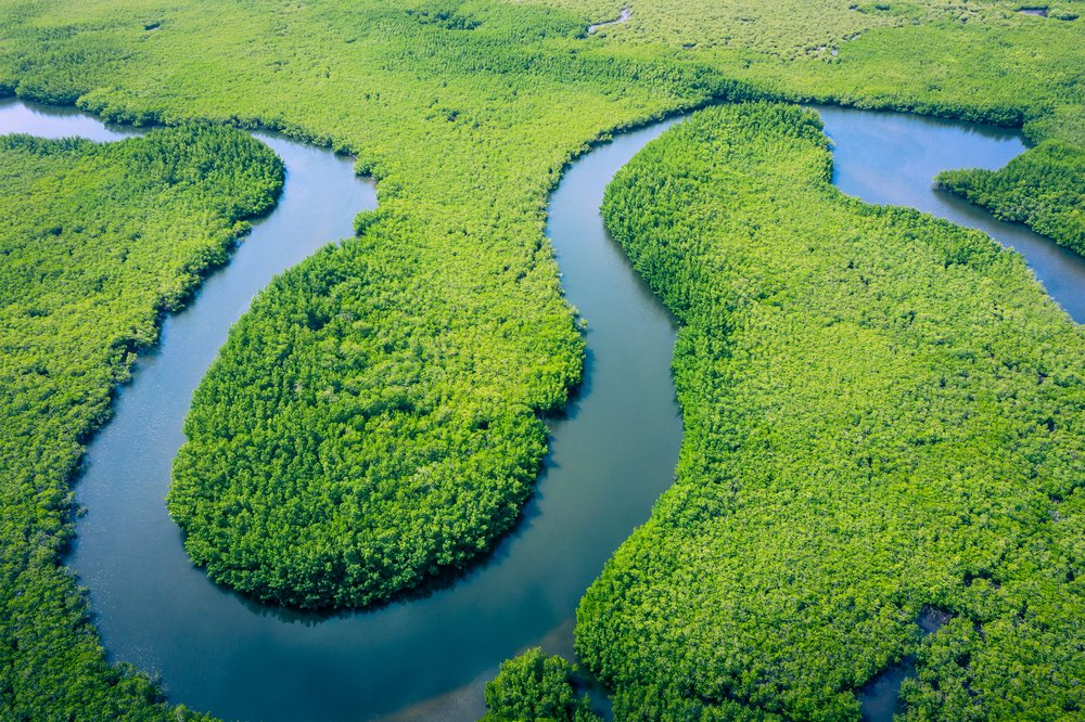 Today's child-friendly article looks ahead to #WorldRainforestDay and how Brazil’s president, Luiz Inacio Lula da Silva, has pledged to end deforestation in the country by 2030. Click to get the article.🌳🎋👇
twinkl.co.uk/l/1d5spu