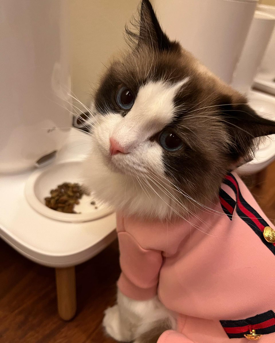 HBD to our princess ♡