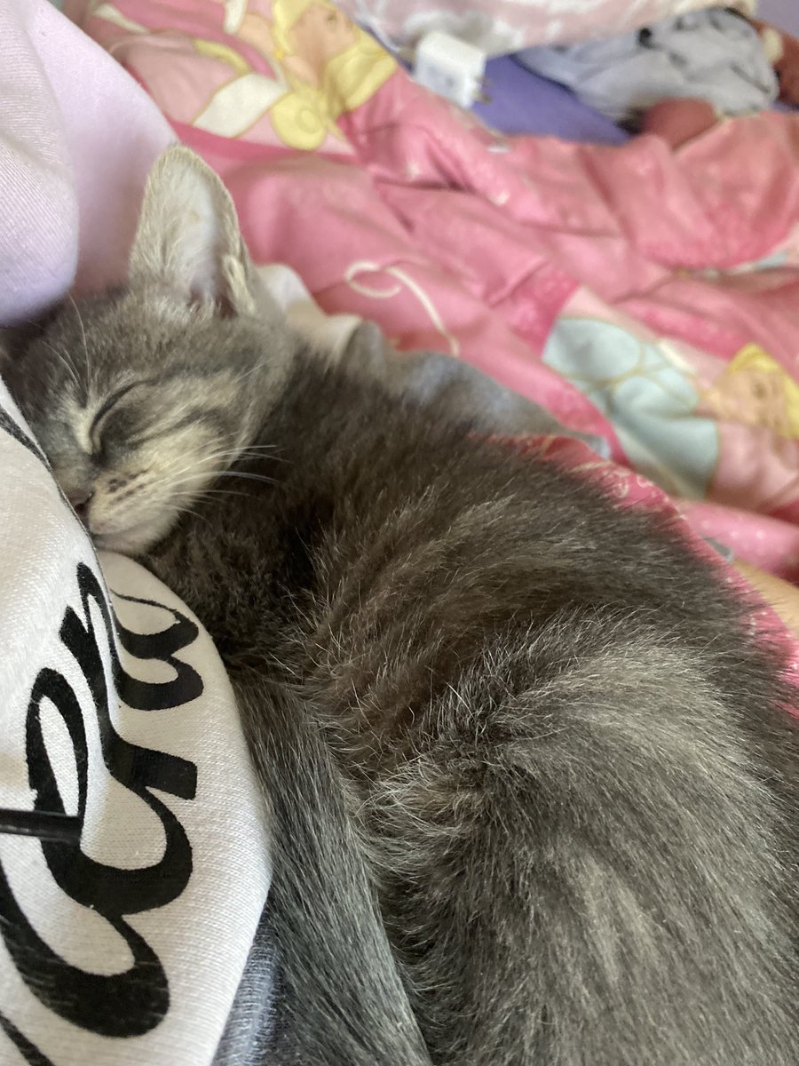 #nadiedicenada  ❤️‍🩹 el que me alegra más mañana