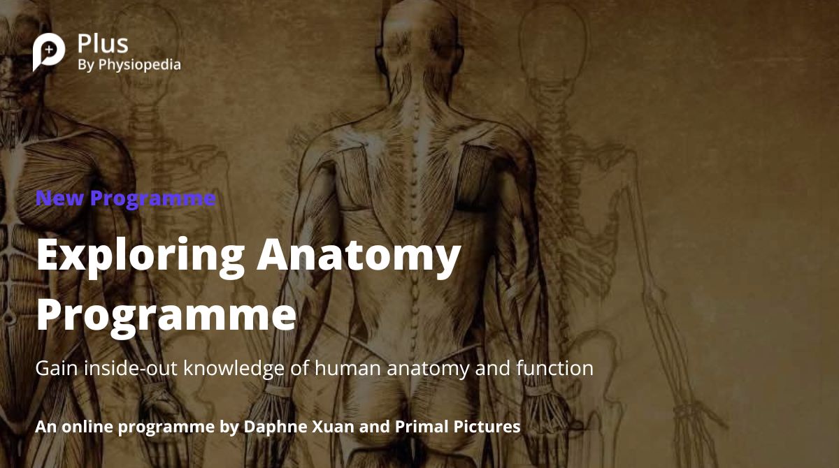 physiopedia's tweet photo. We're excited to announce our new programme, Exploring Anatomy! The human body is complex, and understanding its anatomical structures is crucial for clinicians. Enhance your knowledge of anatomy with this programme.

https://t.co/yOZiRvuo0z

#KnowYourAnatomy #PlusProgramme https://t.co/YZgeVcfcAT