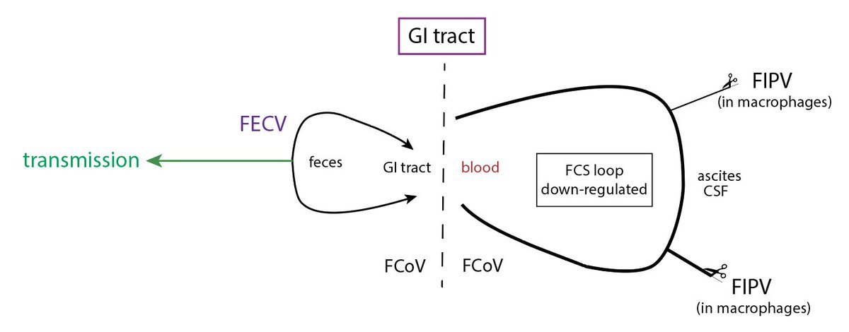 Gary R. Whittaker tweet media