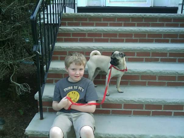 MoePug's tweet photo. It's been a while since I've posted.  Lots of changes. Moved. All settle into new house. I am now 14 1/2 and see a cardiologist. Get good checkup yesterday. My family calls me the Energizer Bunny!   That's me at Dr and other photo is me and my boy 13 yrs ago! https://t.co/G3MvApi0RT