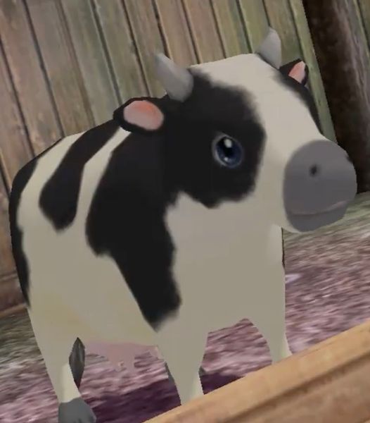myPotatoGames's tweet photo. Cows from Harvest Moon games 🥰 https://t.co/1RtMvu8bwR