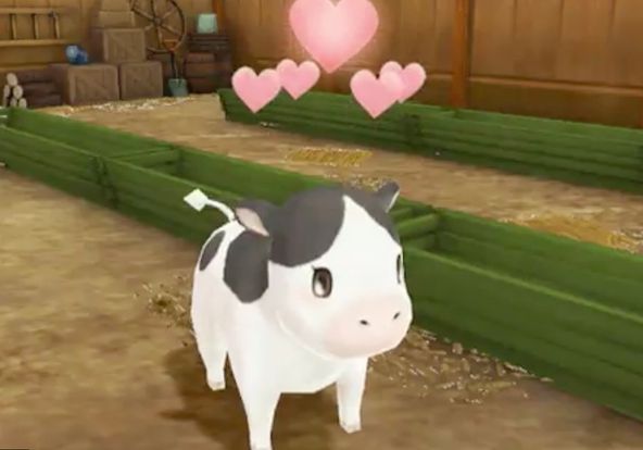 Cows from Harvest Moon games 🥰