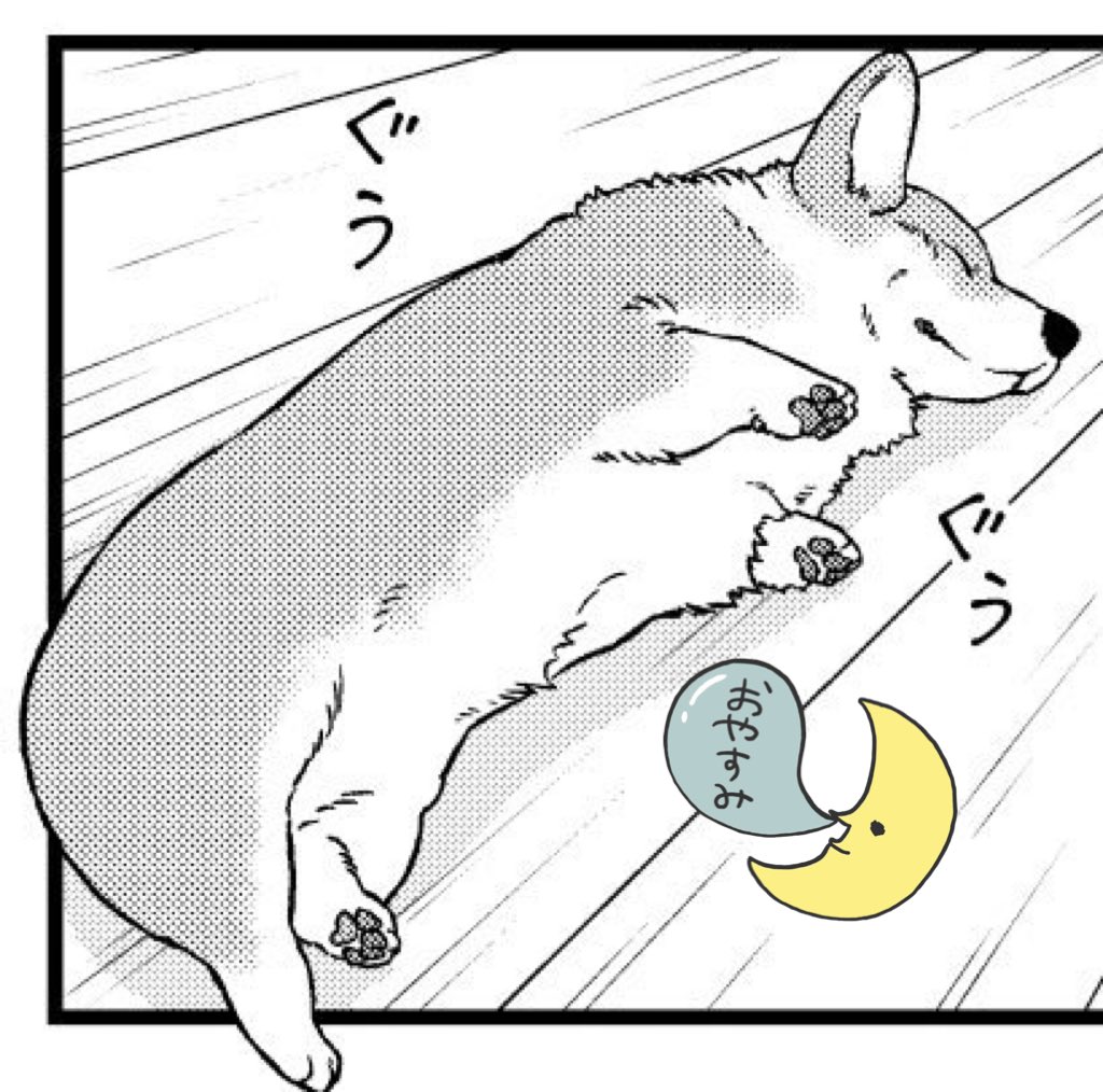 明日はこうしんムニャ  #殿と犬
