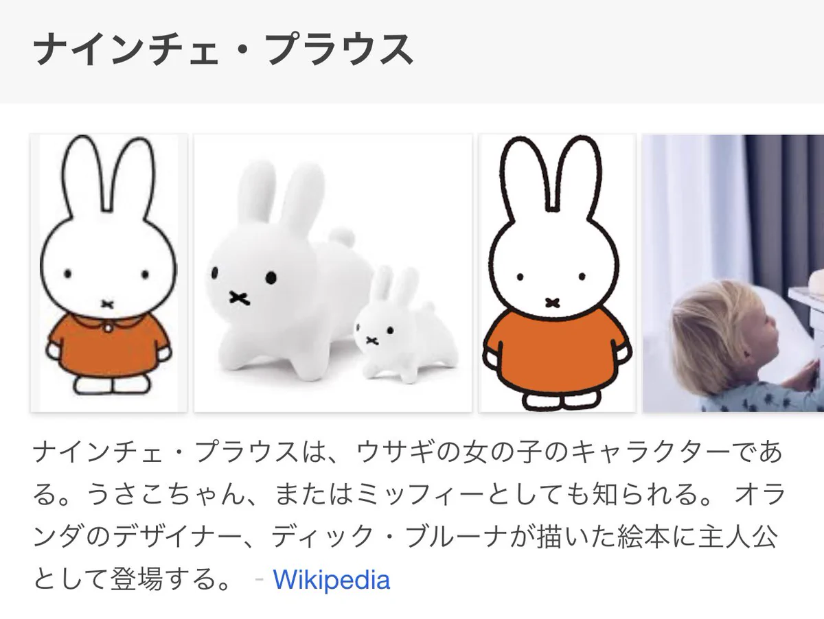 ミッフィーとして知られているうさぎのキャラクター。本名はナインチェ・プラウス！？