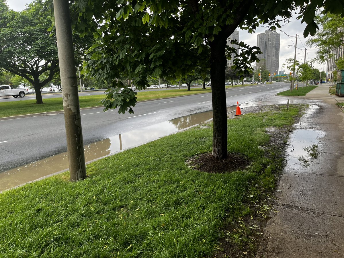 DavidPylyp's tweet image. Since no one is interested in blocked sewers except pedestrians and dog walkers maybe #bicyclists could add their voice #Toronto #lakeshore at Windermere 1926 Lake Shore @311Toronto