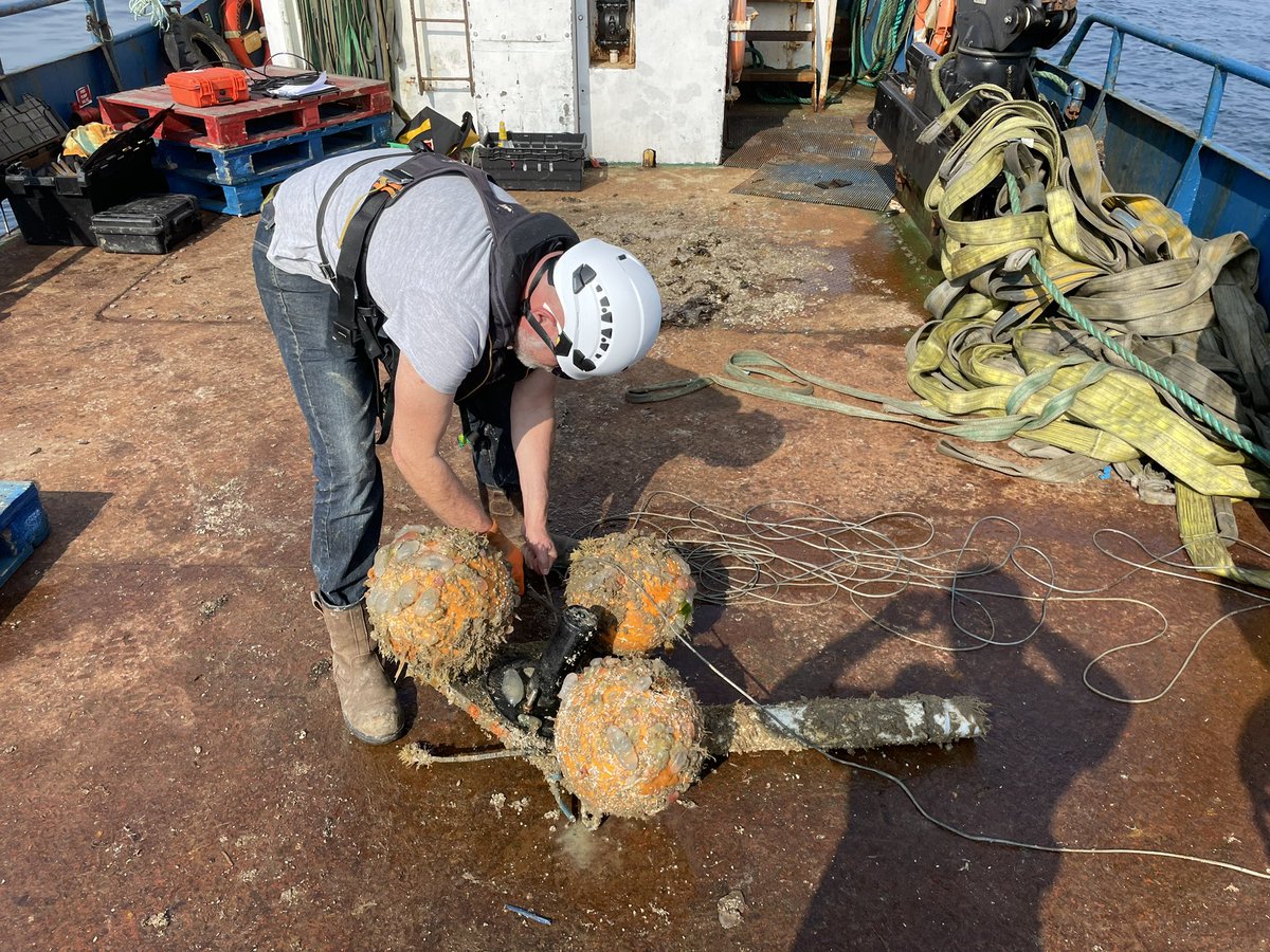 ThomasStamp's tweet image. Great day retrieving @fish_intel @IoSIFCA acoustic receivers &amp;amp; @CheloniaLtd FPODs! Can’t wait to see what detections are on them 🦞🐟@PlymUni @Dr_Emma_Sheehan @tejhooper @Innovasea @RS_Aqua #trackingnotslacking