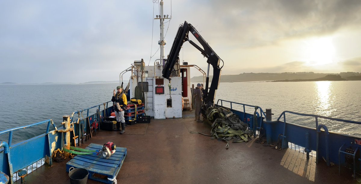 ThomasStamp's tweet image. Great day retrieving @fish_intel @IoSIFCA acoustic receivers &amp;amp; @CheloniaLtd FPODs! Can’t wait to see what detections are on them 🦞🐟@PlymUni @Dr_Emma_Sheehan @tejhooper @Innovasea @RS_Aqua #trackingnotslacking