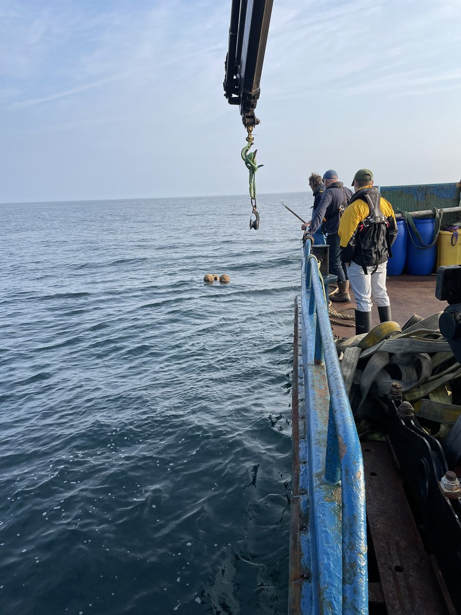 ThomasStamp's tweet image. Great day retrieving @fish_intel @IoSIFCA acoustic receivers &amp;amp; @CheloniaLtd FPODs! Can’t wait to see what detections are on them 🦞🐟@PlymUni @Dr_Emma_Sheehan @tejhooper @Innovasea @RS_Aqua #trackingnotslacking