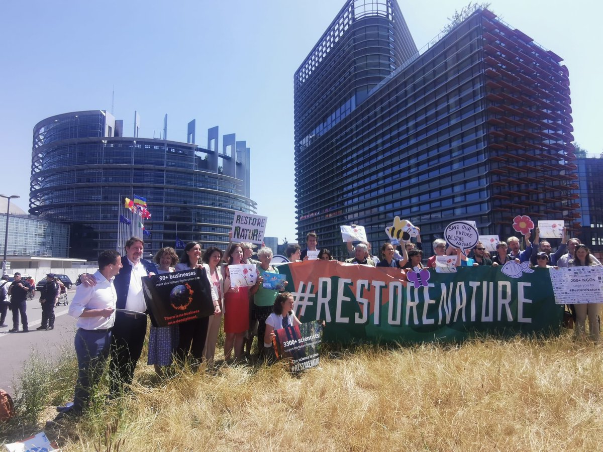 ⚠️ URGENCE ! ⚠️

Demain, on vote la loi sur la restauration de la #nature.
En gros, c'est LE texte du mandat pour protéger la #biodiversité... que toute la droite et l'extrême droite veulent rejeter.

On a besoin de vous pour leur mettre la pression ! 
👉 act.greens-efa.eu/fr/restore-nat…