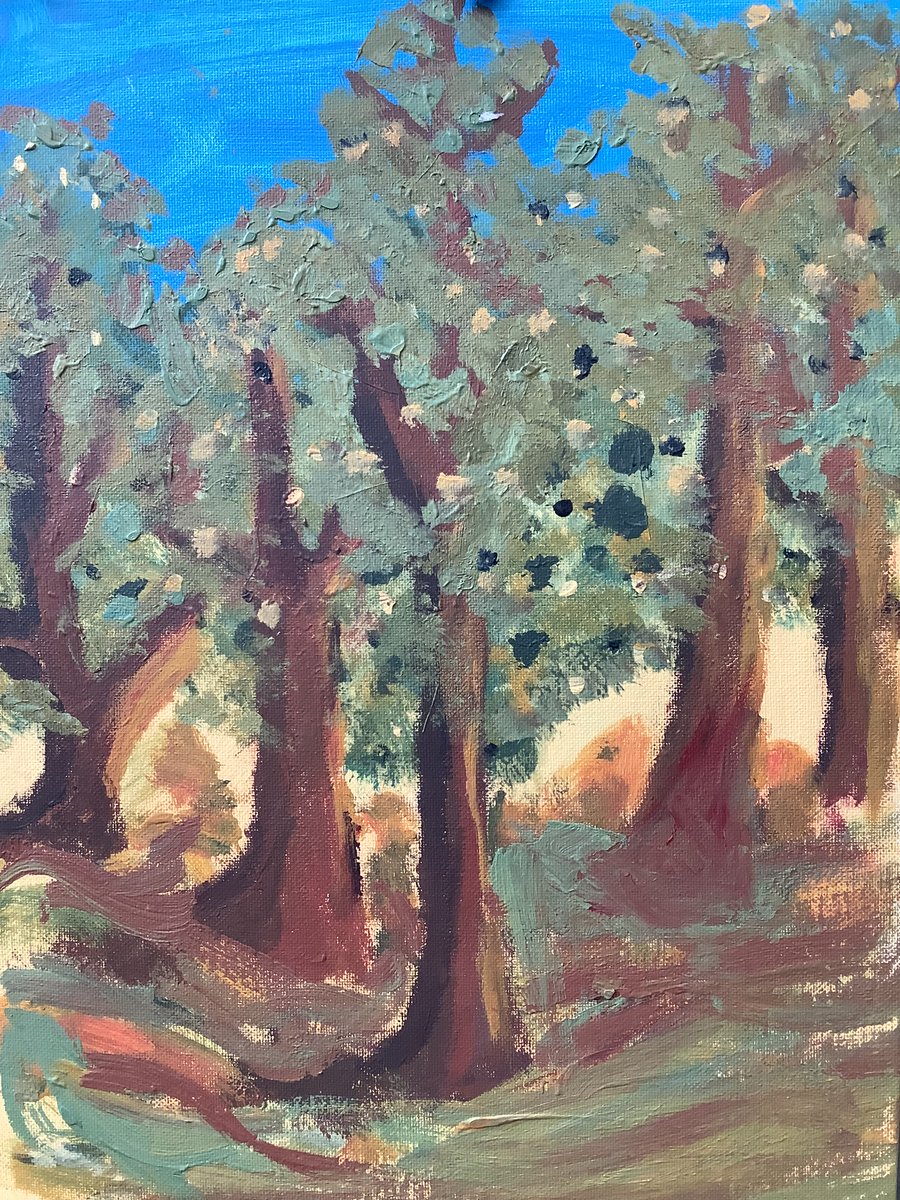 On Tuesday, our Year 7 Art Scholars headed outside to draw and paint under the shade of the trees in our school grounds. They experimented and extended their usual drawing skills and the work they produced was exceptional - they should be very proud of themselves!