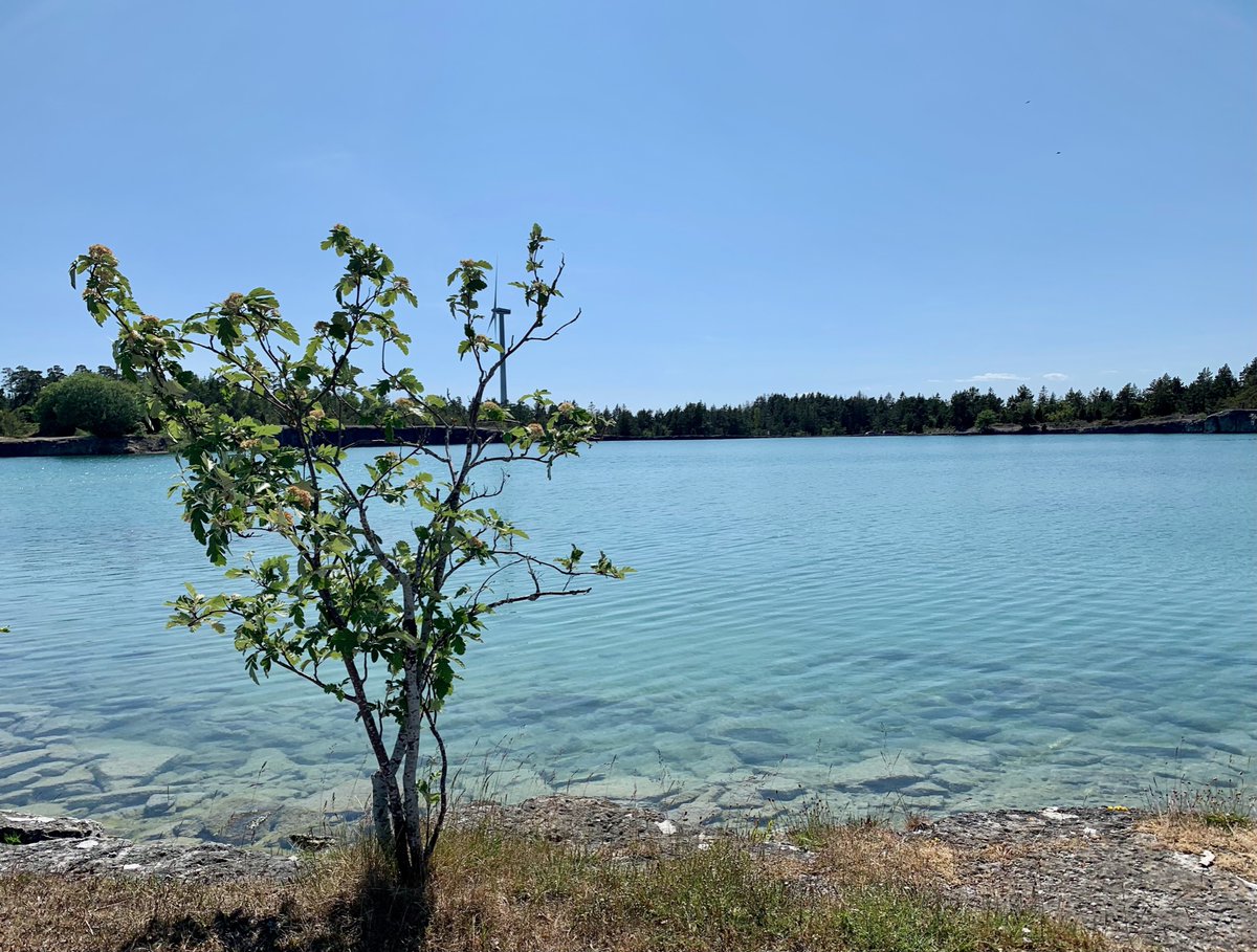 Then we were finally on Gotland again! 🏝️☀️🏖️