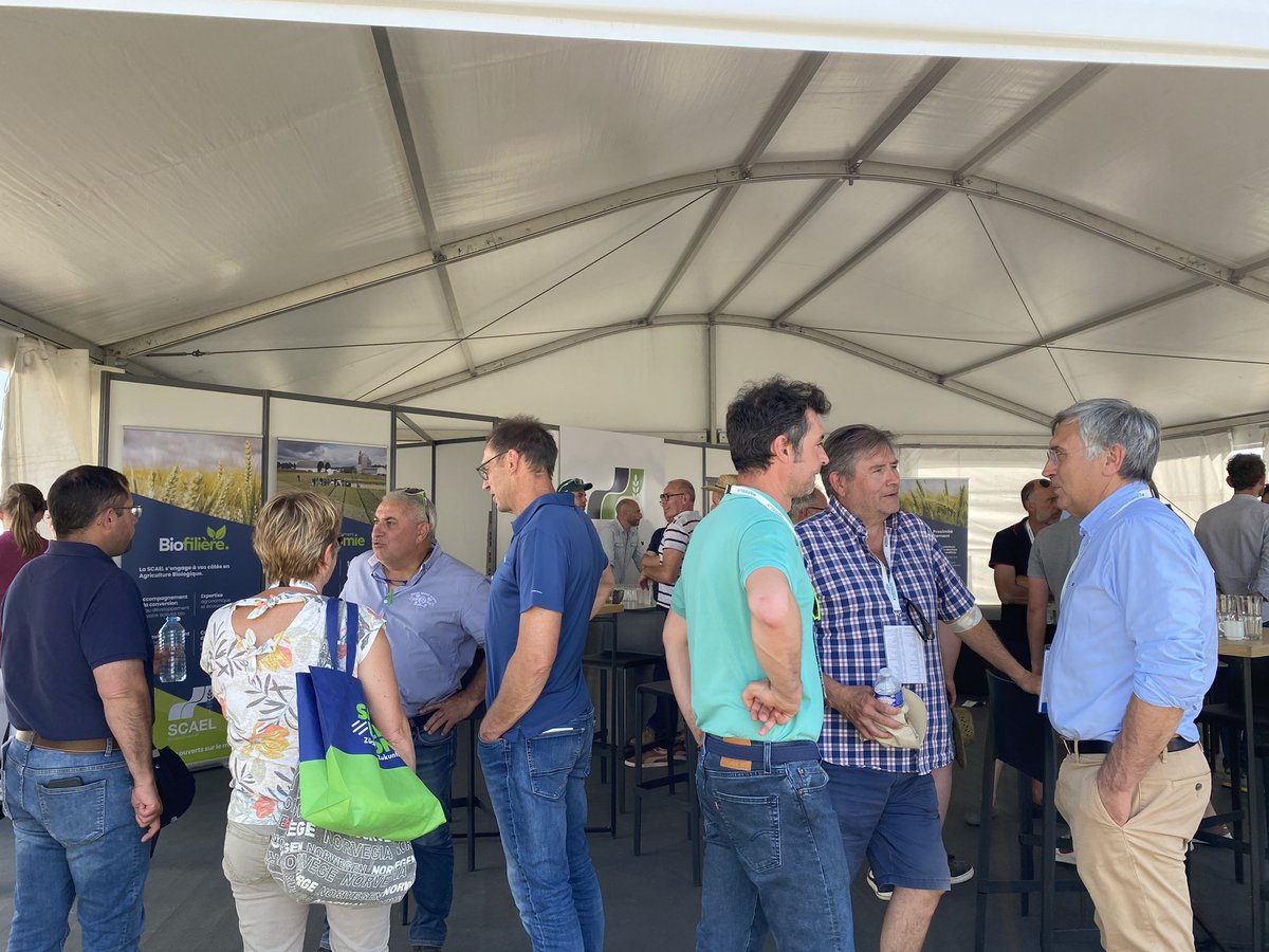 Groupe SCAEL tweet media