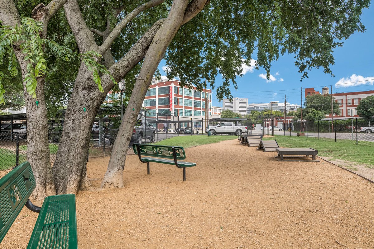 DeepEllumLofts's tweet photo. Treat your furry friends to playdates at our on-site dog park, complete with agility equipment and socialization areas. Deep Ellum Lofts is the perfect place for your pets to thrive and make new friends. #DogParkFun #TailWaggingGoodTimes https://t.co/6K8Hm18yF2