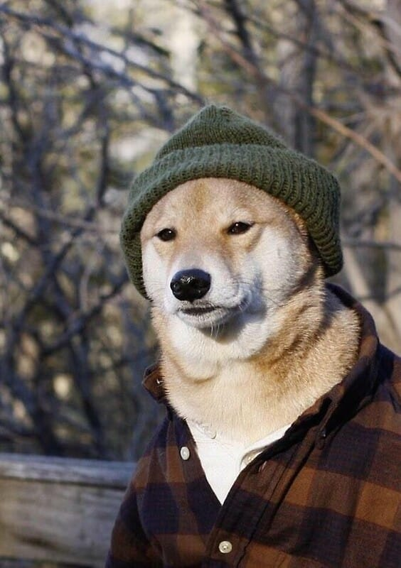 LV Gaming tweet media