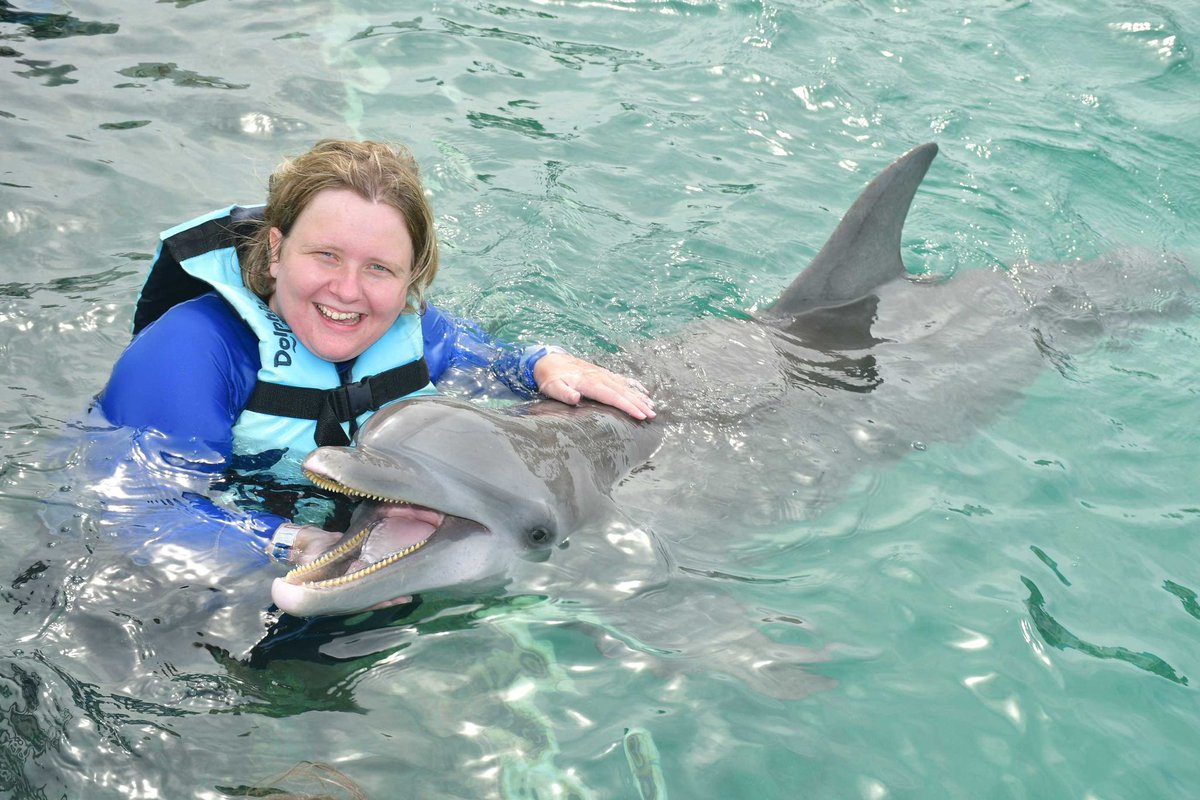 Jen 🐨 tweet media