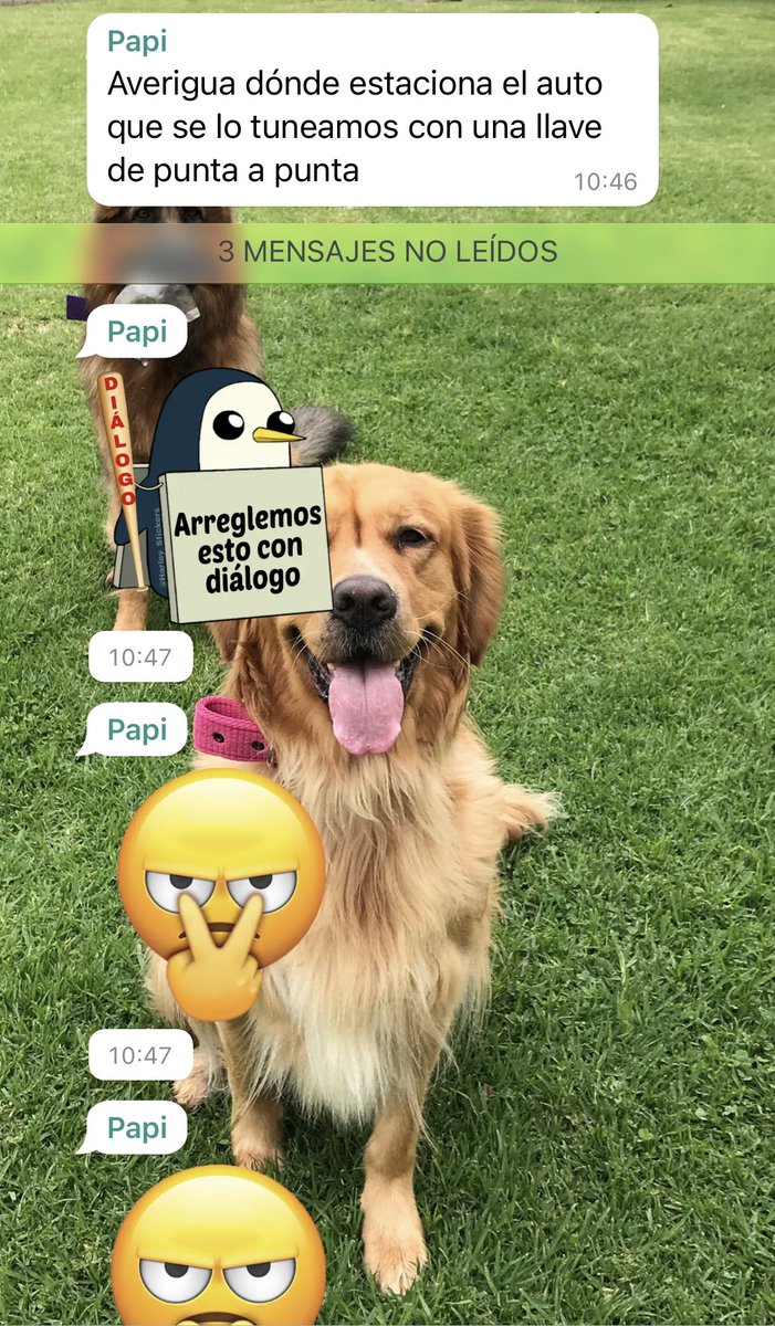 tefidd1233's tweet photo. A uno que quiero en mi equipo para siempre https://t.co/yao6Qzfeue
