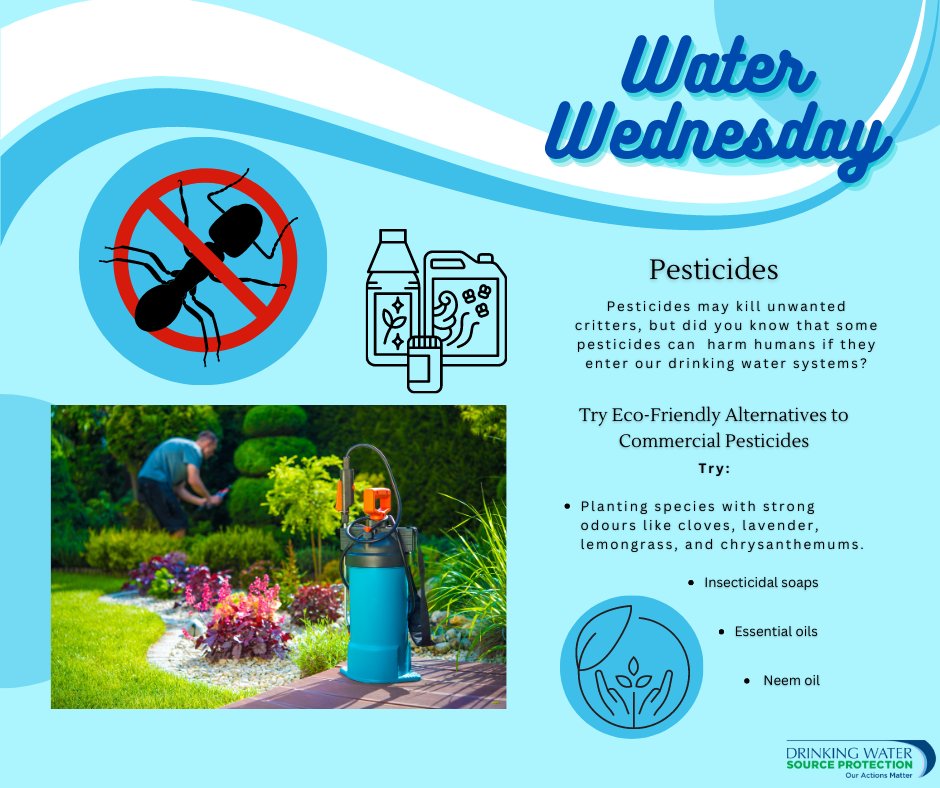 Be #WaterWise and use these eco-friendly alternatives to commercial pesticides and fertilizers to keep your property looking great while keeping your drinking water safe. Learn more: bit.ly/3OiD4M3 

#drinkingwater #waterquality