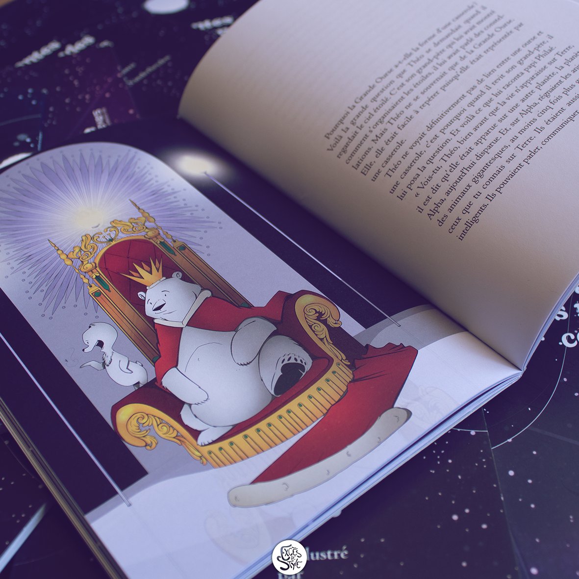 J'ai le plaisir de vous présenter un livre illustré qui vous transportera au-delà des nuages et des étoiles, dans les mondes célestes les plus enchanteurs. J'ai eu le privilège de donner vie à sept textes captivants pour ce concours d'écriture proposé par l'@NeversAgglo