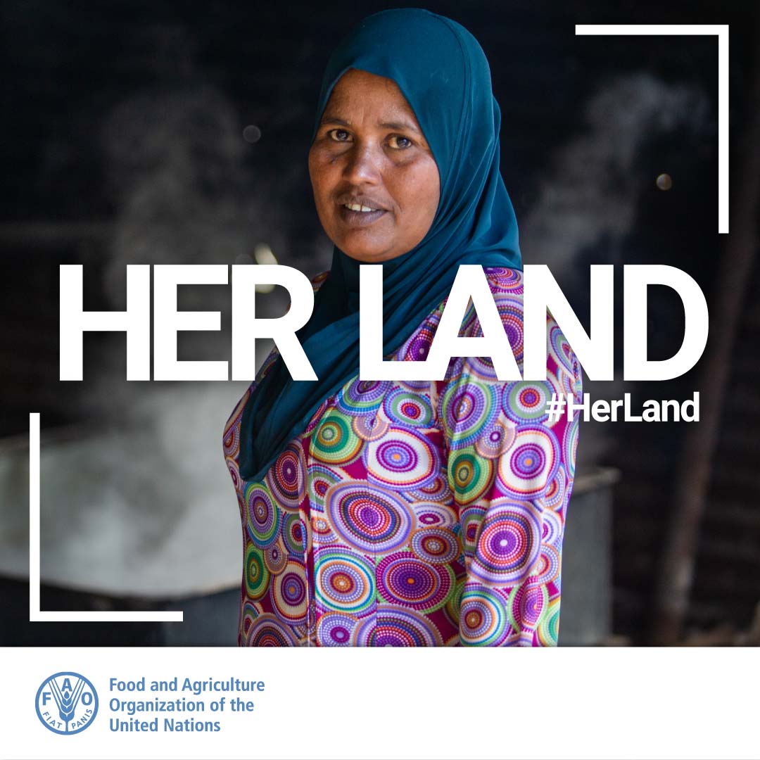 FAOLandWater's tweet photo. Women’s roles in agrifood systems tend to be marginalized and their working conditions are likely to be worse than men’s.

Women’s access to land, services, finance and digital technology, continues to lag behind men’s.

Learn more ➡️ https://t.co/ULjb8hvIXl

#HerLand @UNCCD https://t.co/VKviQVPW5f