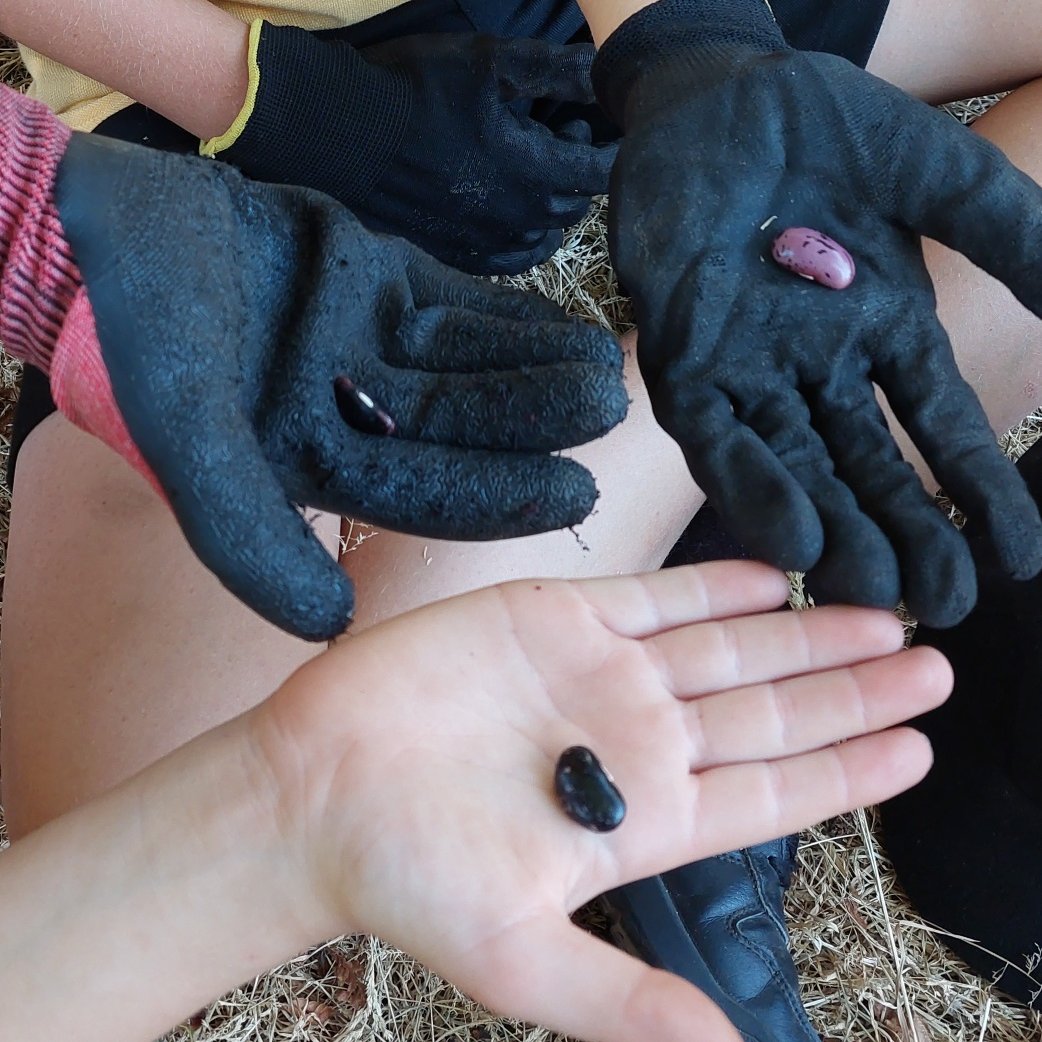 Duffryn Community Link (@duffrynlink) on Twitter photo Working in partnership with @NewportKWT say hello to our @TredegarParkPS garden gang. The children enjoyed planting lots of different fruit and veg and are now in charge of looking after their patch at our community allotment. Keep an eye out for our progress. Working in partnership with @NewportKWT say hello to our @TredegarParkPS garden gang. The children enjoyed planting lots of different fruit and veg and are now in charge of looking after their patch at our community allotment. Keep an eye out for our progress.