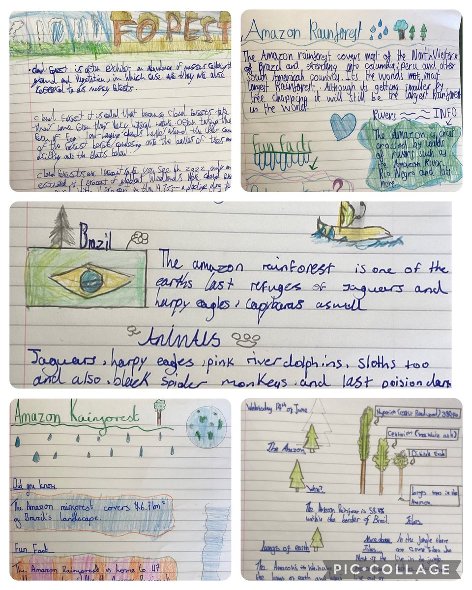 Red Rose Primary Upper Key Stage 2 tweet media