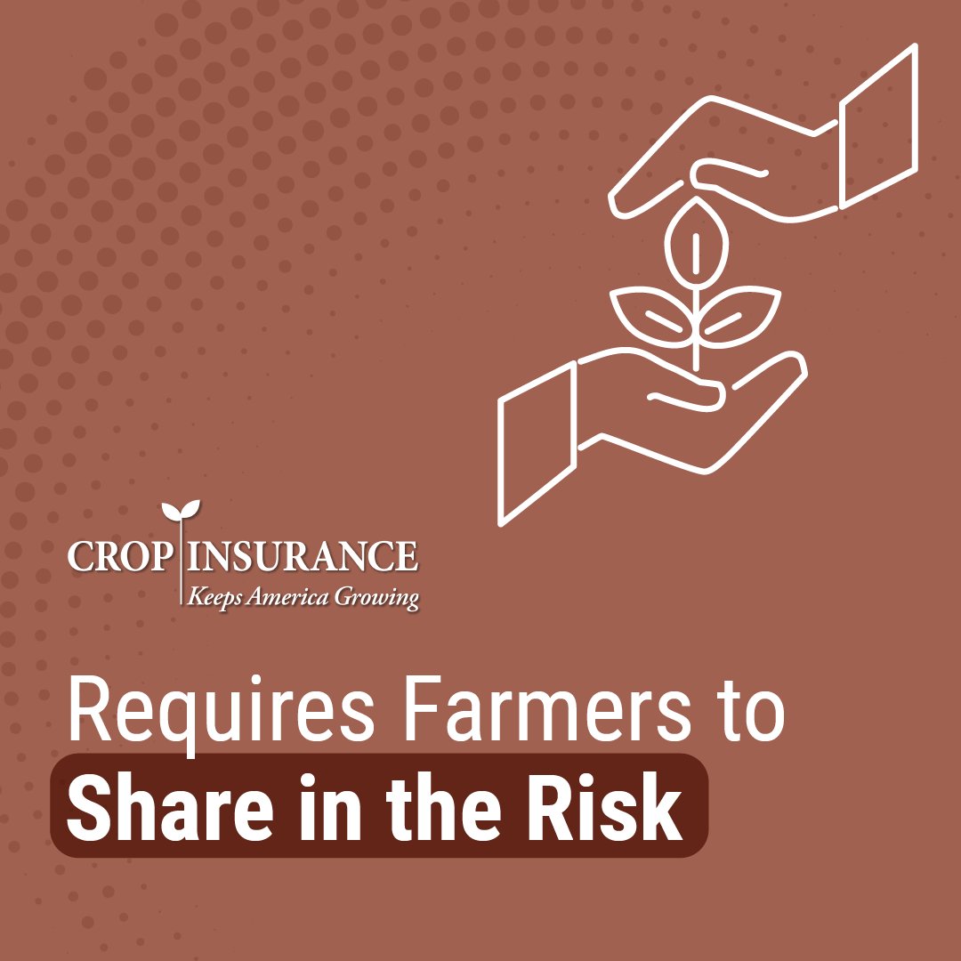 This week, we’re talking about the essential strengths of #CropInsurance 💪 Crop insurance requires farmers to invest in their own protection and share in the risk. Last year, America’s farmers paid $6.8 BILLION to purchase crop insurance.

Learn more: bit.ly/EssentialStren….