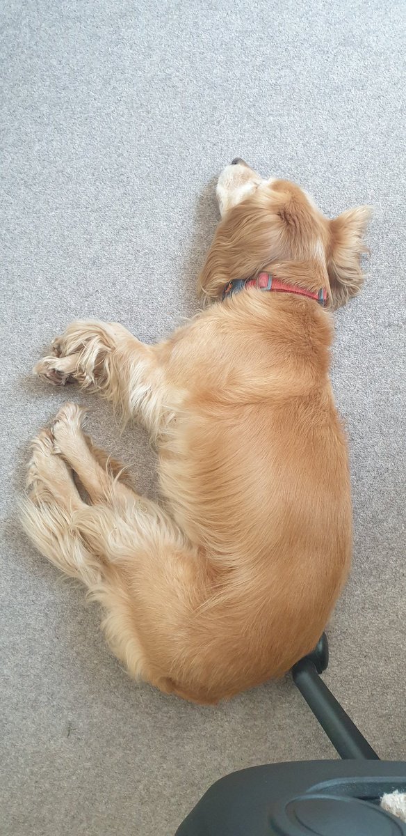 fjhwynde's tweet photo. Lots of huffing and sighing coming from my office colleague today... https://t.co/jL0RDuB80K