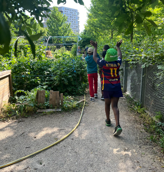 cscefia's tweet photo. Le CLAS a pu profiter d’une visite du "Jardin des Coopains" au #parcmartinlutherking pour découvrir plein de plantes et goûter à des framboises. Cela a affermi le lien entre le centre CEFIA et les démarches écologiques.
#ecologie #centresocial #paris17 #asso17 #jardinpartagé https://t.co/EHXFNnXPxJ