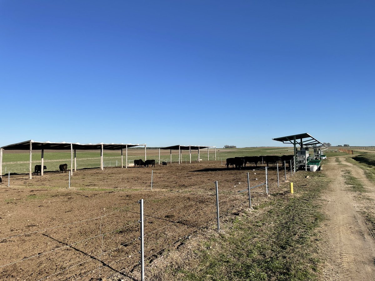 Alejandro La Manna tweet media