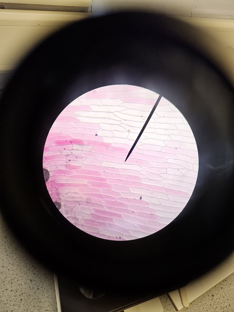 Mr Coyle tweet media